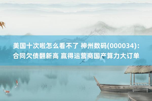 美国十次啦怎么看不了 神州数码(000034):合同欠债翻新高 赢得运营商国产算力大订单