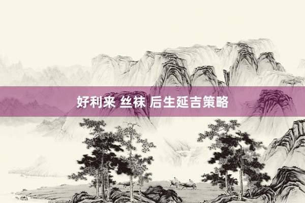 好利来 丝袜 后生延吉策略