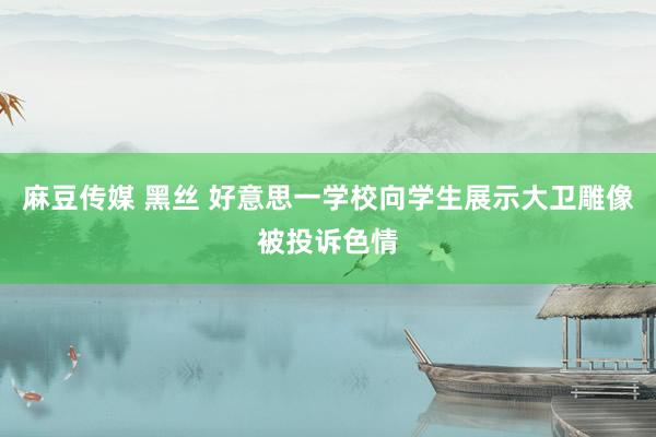 麻豆传媒 黑丝 好意思一学校向学生展示大卫雕像被投诉色情