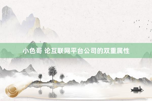 小色哥 论互联网平台公司的双重属性