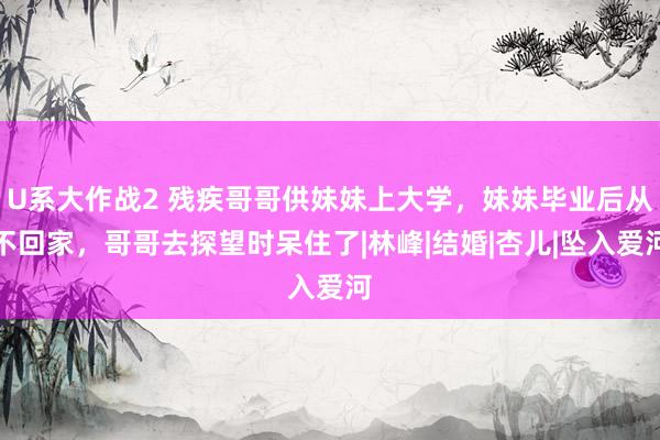 U系大作战2 残疾哥哥供妹妹上大学，妹妹毕业后从不回家，哥哥去探望时呆住了|林峰|结婚|杏儿|坠入爱河