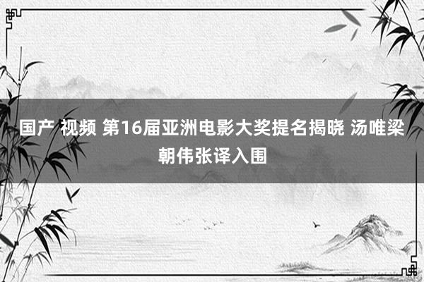 国产 视频 第16届亚洲电影大奖提名揭晓 汤唯梁朝伟张译入围