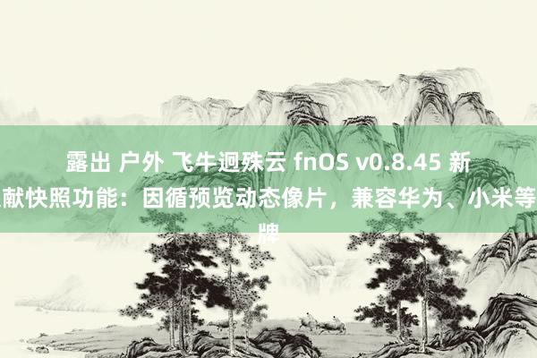 露出 户外 飞牛迥殊云 fnOS v0.8.45 新增文献快照功能：因循预览动态像片，兼容华为、小米等品牌