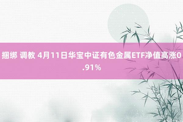 捆绑 调教 4月11日华宝中证有色金属ETF净值高涨0.91%