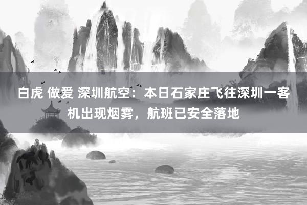 白虎 做爱 深圳航空：本日石家庄飞往深圳一客机出现烟雾，航班已安全落地